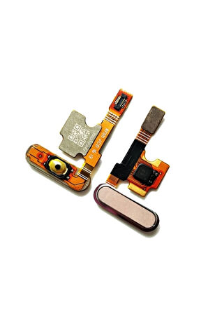 Xiaomi Mi 5 Uyumlu Home Tuş Bordu Film Flex Gold