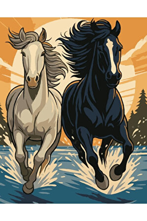 Sayılarla Boyama Seti 40x50 Cm (Çıtalı) Fırça Boya Dahil Numaralı Tuval Beyaz ve Siyah At