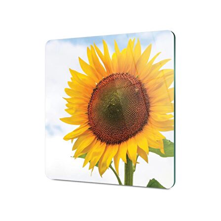 Decovetro Cam Kesme Tahtası Kare Ayçiçeği Desenli 30x30 Cm