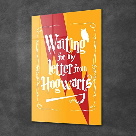 Decovetro Cam Tablo Harry Potter Hogwarts letter