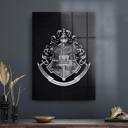 Decovetro Cam Tablo Harry Potter Hogwarts Logo