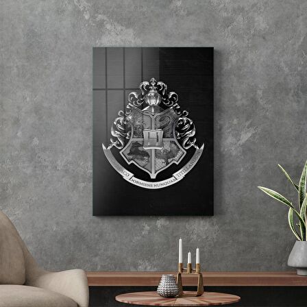 Decovetro Cam Tablo Harry Potter Hogwarts Logo