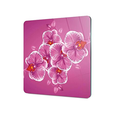 Decovetro Cam Kesme Tahtası Kare Vintage Orkide Desenli 30x30 Cm