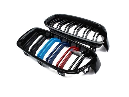 Bmw 3 Serisi F30 2012-2018 M3 Böbrek (Çift Çizgi Panjur) M Renk