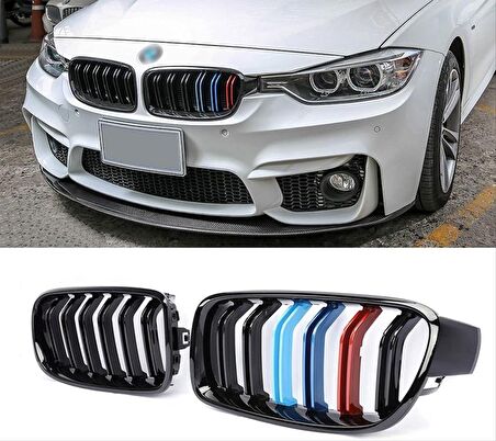 Bmw 3 Serisi F30 2012-2018 M3 Böbrek (Çift Çizgi Panjur) M Renk