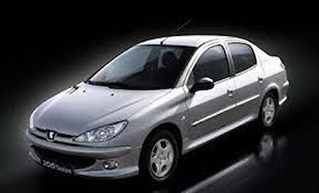 Coil-Ex Peugeot 206 06.1999-Sonrası Spor Yay 45 Mm