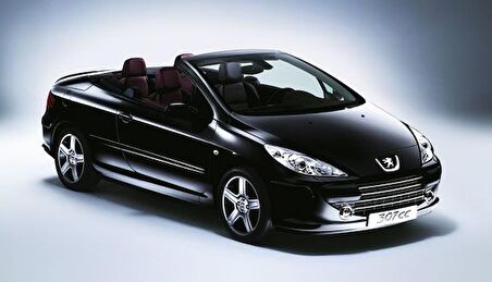 Coil-Ex Peugeot 307 03.2001- Sonrası Spor Yay 45 / 45 Mm