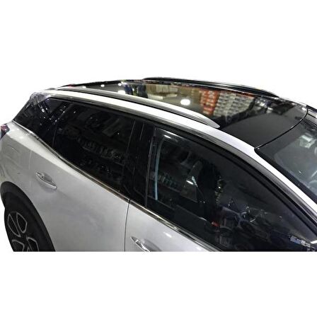 Peugeot 3008 Tavan Çıtası Aluminyum 2016- Özel Skyport
