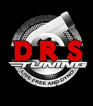 Ford Focus 2 2005-2010 3D Havuzlu Paspas Orjinal Rizline Drs