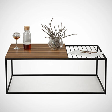 Pasific Home Zinus Metal Orta Sehpa, Ceviz