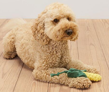 Köpek Oyuncağı, Mısır