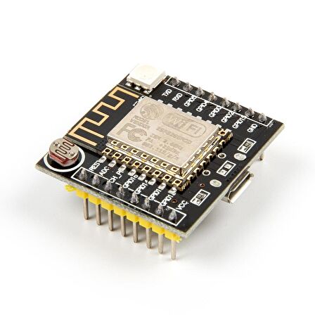 ESP-12F Mini NodeMCU WiFi Modülü
