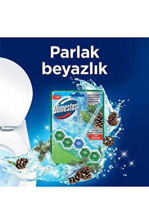 Domestos Tuvalet Bloğu Çam Ferahlığı 50 gr