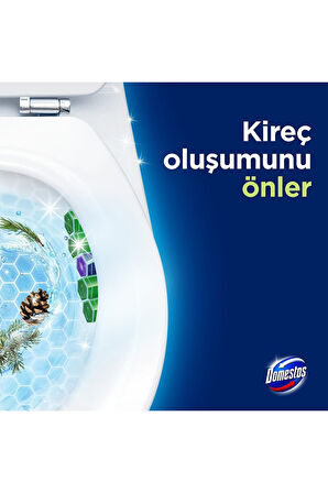 Domestos Tuvalet Bloğu Çam Ferahlığı 50 gr