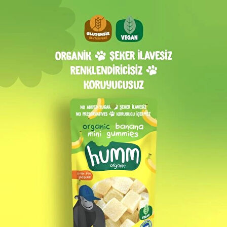 Humm Organik Muzlu Glutensiz Vegan Mini Küpler 30 Gr