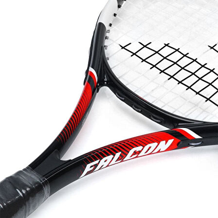 Babolat Falcon 27 CV Tenis Raketi 121237