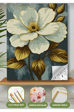 Sayılarla Boyama Seti 40x50 Cm (Çıtalı) Fırça Boya Dahil Numaralı Tuval Beyaz Çiçek