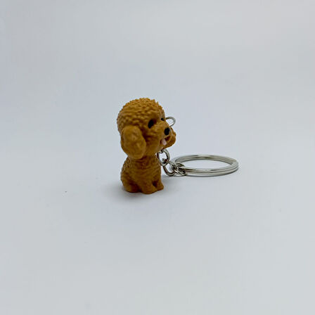 Toy Poodle-Kahve - Anahtarlık