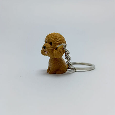 Toy Poodle-Kahve - Anahtarlık