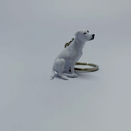 Staffordshire   - Anahtarlık