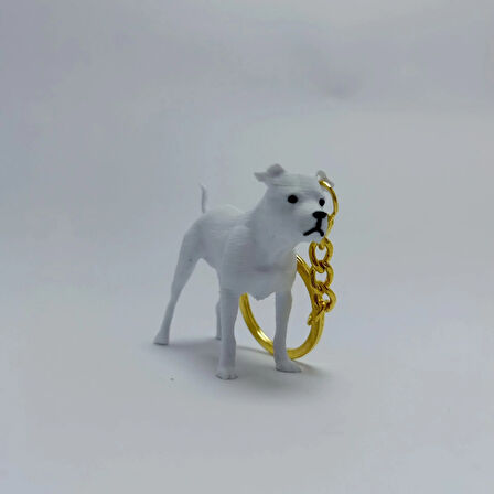 Dogo Argentino - Anahtarlık