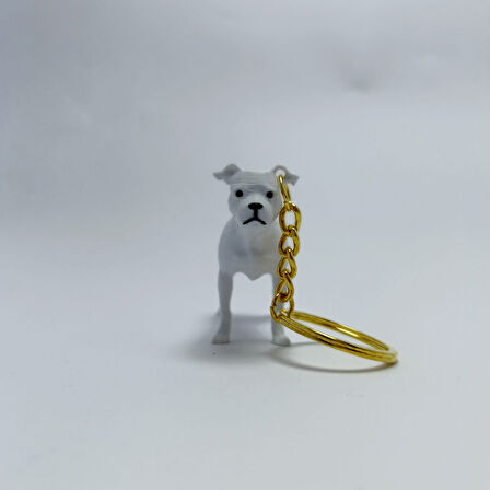 Dogo Argentino - Anahtarlık