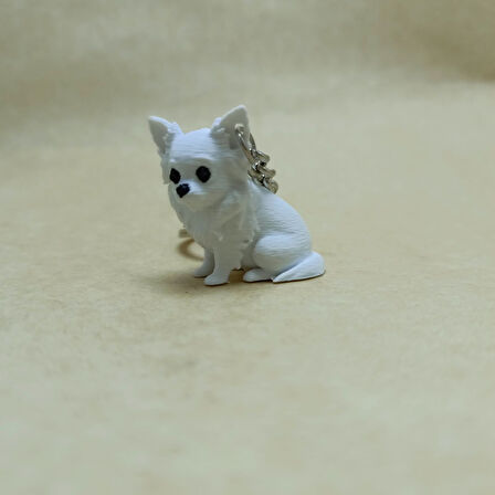 chihuahua - Uzun tüylü - Beyaz - Anahtarlık