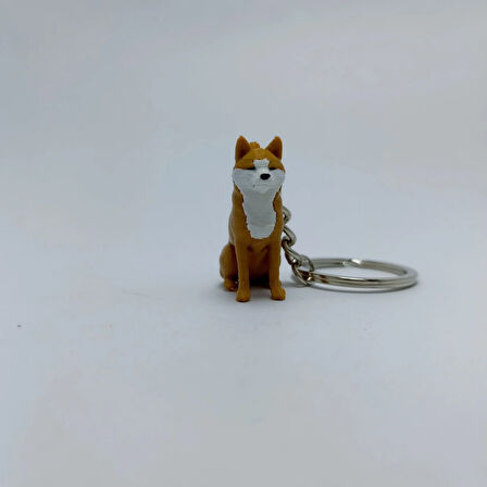Akita - Anahtarlık