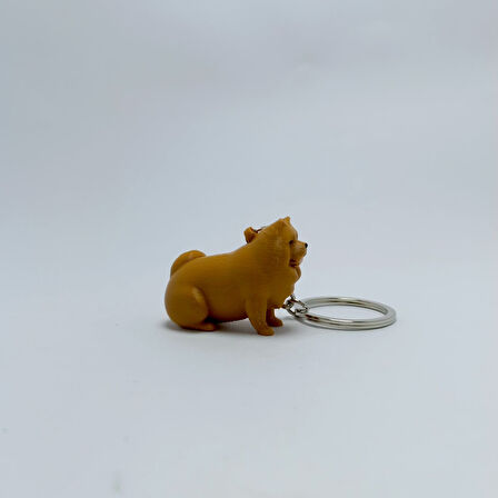 Chow chow - Anahtarlık