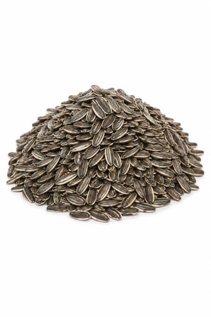 Tuzlu Çekirdek 500 gr İri Tane Kavrulmuş Ay çekirdeği