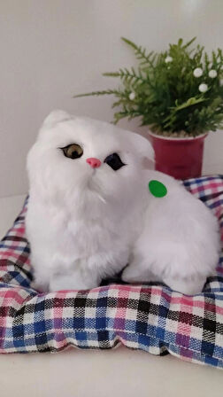  Sevimli Sesli Yatakta Yatan Kedicik Büyük Boy 25 CM MİNDER İLE BİTİŞİKTİR