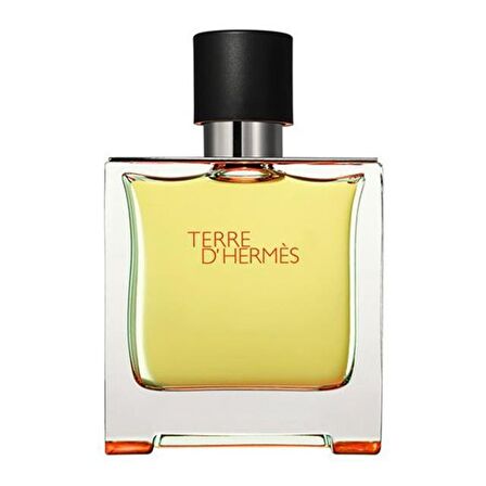 Hermes Terre D'Hermes EDT Çiçeksi Erkek Parfüm 100 ml  