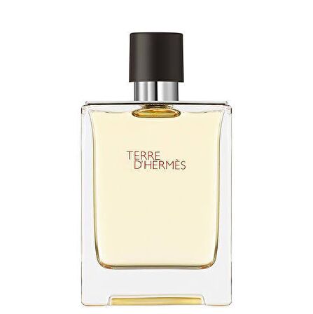 Hermes Terre D'Hermes EDT 100 ml Erkek Parfümü