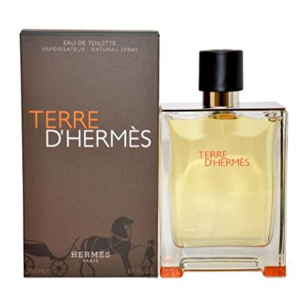 Hermes Terre D'Hermes EDT  Erkek Parfüm 200 ml