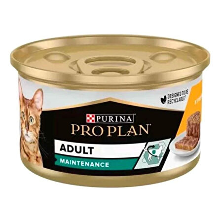 Pro Plan Maintenance Tavuklu Yetişkin Yaş Kedi Maması 6 x 85 Gr