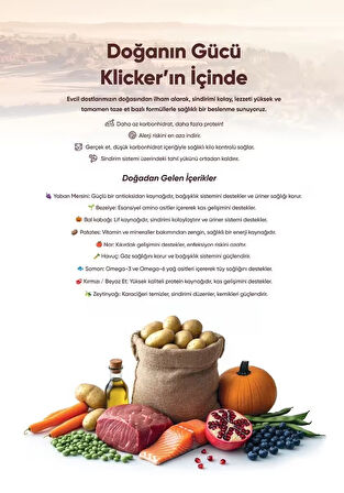 KLICKER YETİŞKİN KEDİ KURU MAMASI KUZULU