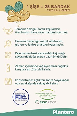 Plantero Kaju Sütü Bazı Konsantre 