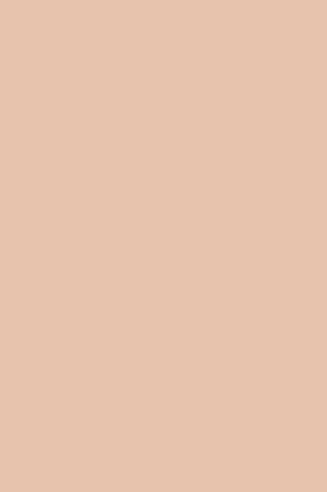 Flormar Jel Görünümlü Parlak Oje (Açık Nude) - Jelly Look Nail Enamel - JL41 WHIPPED CREAM - 8690604497713