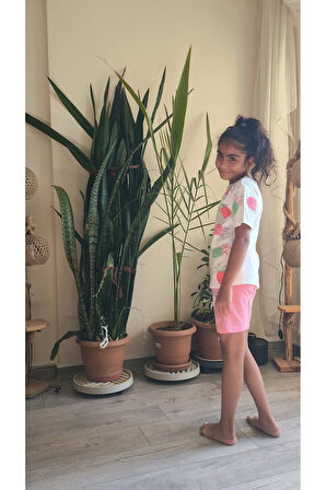 Kız Çocuk Şortlu Takım Ananaslı