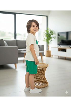 Erkek Çocuk Şortlu Takım, Timsahlı