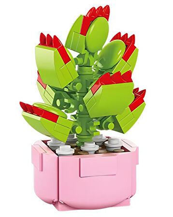 Ctoys Florist Burçlar Saksılı Bitki Yapım Seti Leo 8942 5