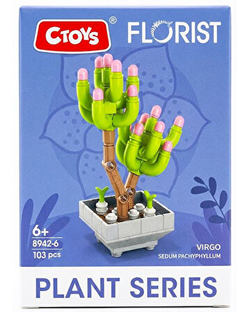 Ctoys Florist Burçlar Saksılı Bitki Yapım Seti Virgo 8942 6