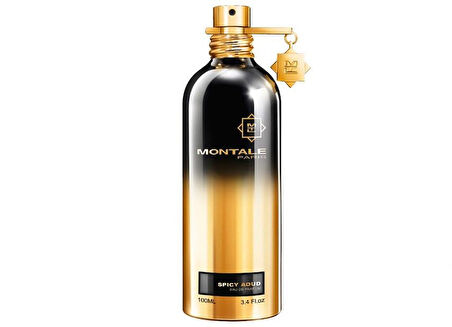 Montale Spicy Aoud EDP 100 ml 