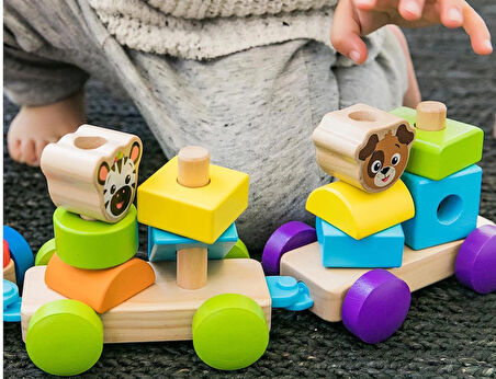 Hape Baby Einstein  Discovery Train Oyuncak Ahşap Tren