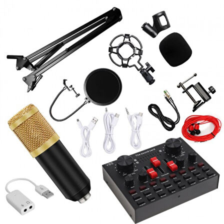 V8s Canlı yayın Ses Kartı Kondenser mikrofon Bluetooth mikser set