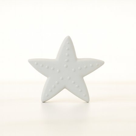 Deniz Yıldızı Figür 4x4,5cm