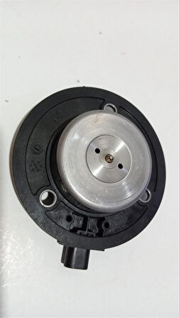 VW-OEM EKSANTRİK 06L109259A