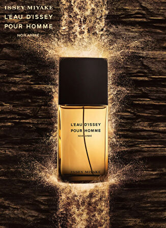 Pour Homme Noir Ambre EDP 100 ml Erkek Parfüm