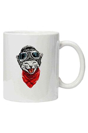 Kupa Bardak Kedi Buff Gözlük