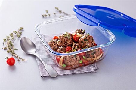 PYREX 286PG00/7146 FIRIN KABI